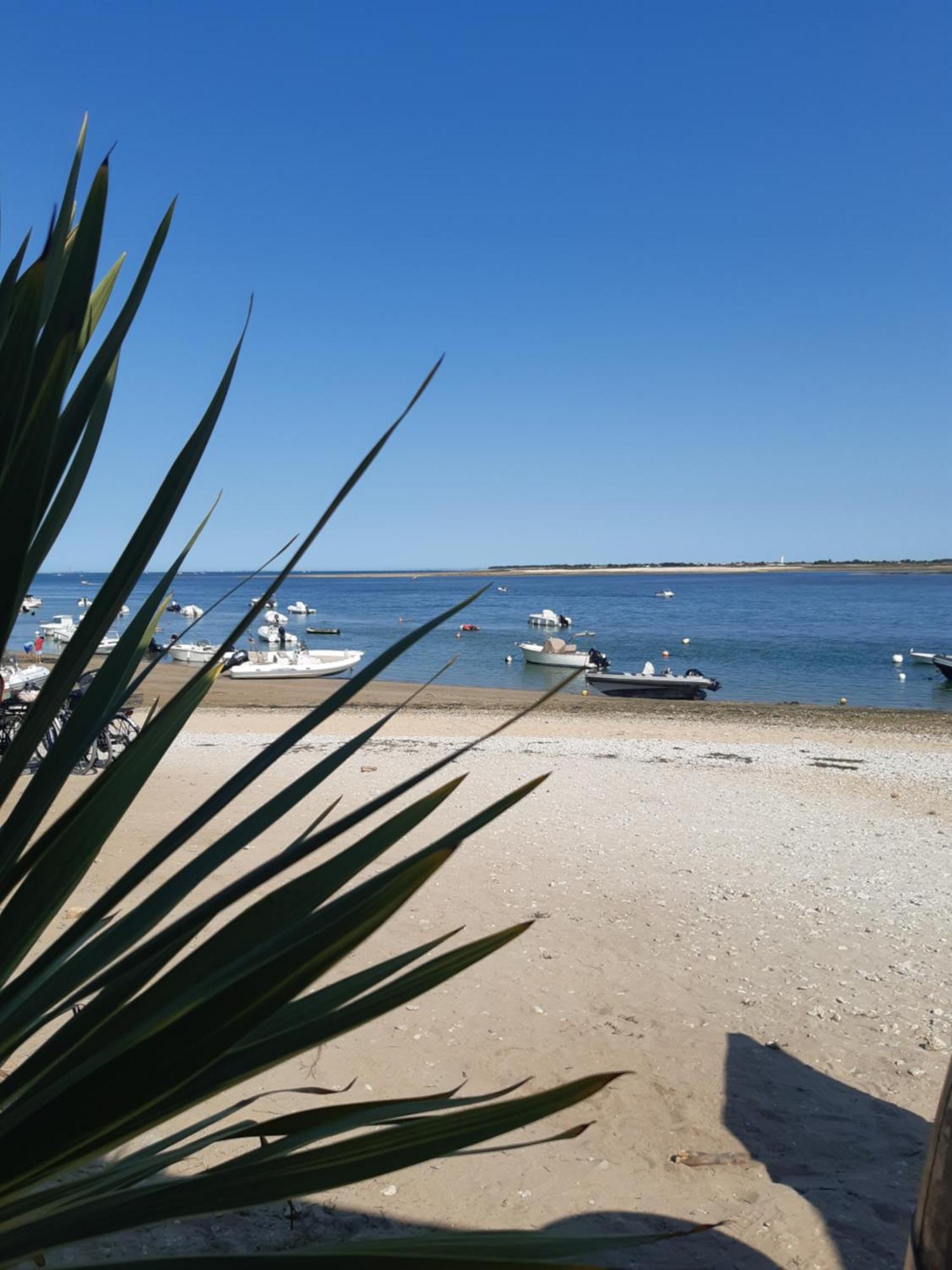 Maison De Vacances Entiere A 10 Mn De La Rochelle Dompierre-sur-Mer Экстерьер фото