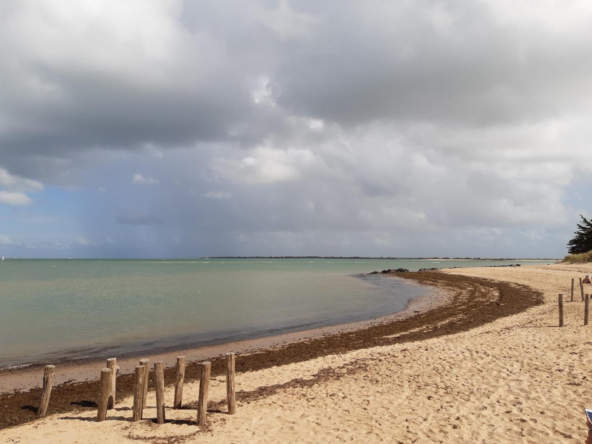 Maison De Vacances Entiere A 10 Mn De La Rochelle Dompierre-sur-Mer Экстерьер фото